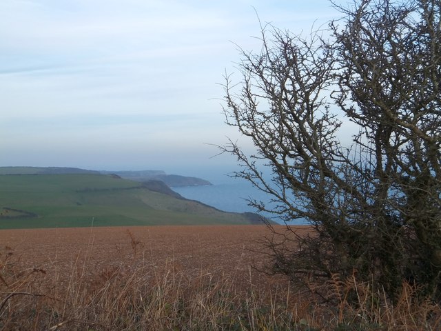 A ploughed field and the coast towards Man Sands