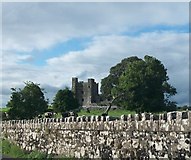 N8559 : Bective Abbey - a ruined fortified abbey on the Boyne by Eric Jones