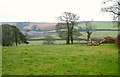 Blakemore from near Whispering Firs