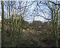 Ruins in Fox Clough