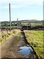 Track to New Upperhouse Farm near Abinger