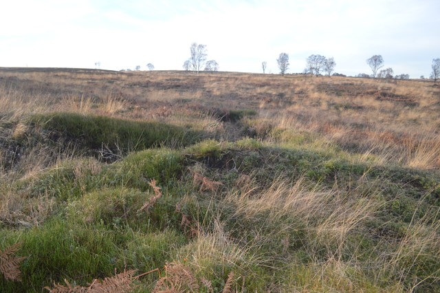 Great War Practice Trenches - above the... © John M cc-by-sa/2.0 ...