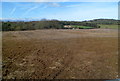 ST4391 : Bare field near Llanvaches by Jaggery