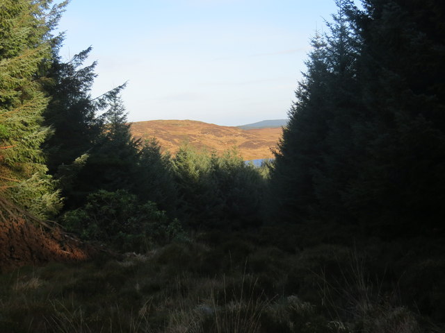 Looking down a firebreak in the forest towards Loch Chorra-riabhaich