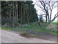 NU0521 : Footpath beside Pilmoor Wood by Russel Wills