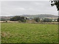 Grass field, Grange Mill