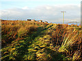 Footpath to East Dougliehill