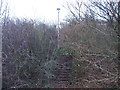 Steps off North Dane Way towards the old Shawstead Road