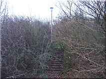 TQ7765 : Steps off North Dane Way towards the old Shawstead Road by Chris Whippet