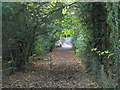 Footpath between Causey Hill Way and Causey Hill Road (2)