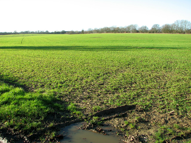 Field Beside Beighton Road © Evelyn Simak Cc-by-sa/2.0 :: Geograph ...