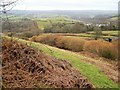 Countryside around Teign Village