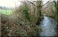 SX8171 : River Lemon at Millcross Bridge by Derek Harper