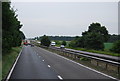 The A11