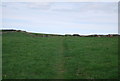 SM8600 : Wales Coastal Path by N Chadwick