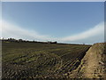 Ploughed field