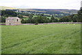 Stony Stoop Lane footpath through field