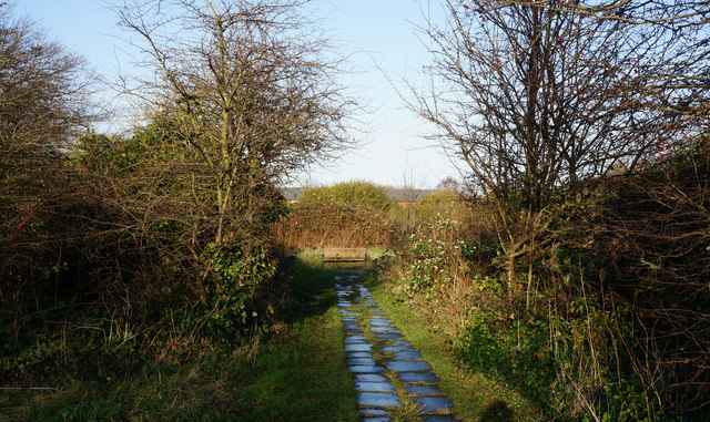 Sculcoates Lane Cemetery, Hull © Ian S cc-by-sa/2.0 :: Geograph Britain ...