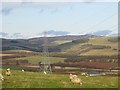 NT5050 : View of the Lammermuir Hills by Richard Webb