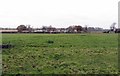 Pasture east of Lough House