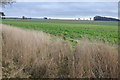 Arable land - North Cerney