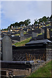 SN5981 : Llanbadarn Fawr cemetery by Ian Capper