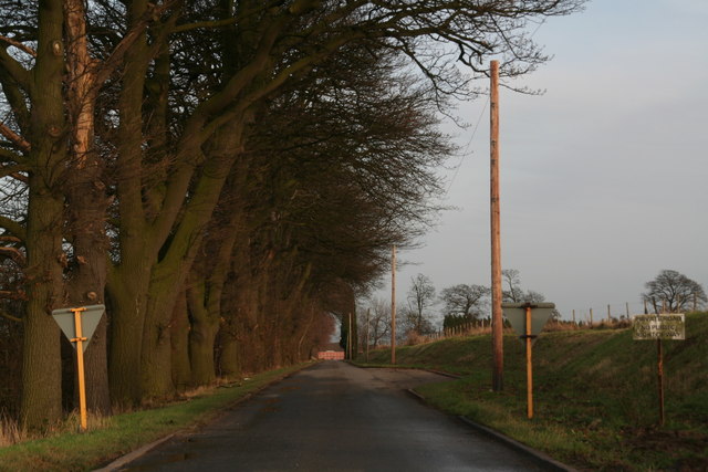 Tree-lined drive to North Hall