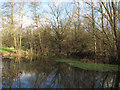 TQ5682 : Trees around a pond near Little Brick Kiln Wood by Roger Jones