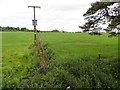 Farmland, Trinity