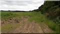 Field beside Huntly Wood