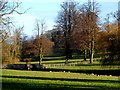 Parkland and ornamental bridge near St Ippollyts