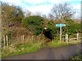 Cycle route 51 and tunnel at South Mills