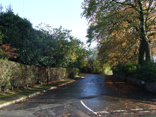 Granville Park from Winifred Lane - Autumn 2011
