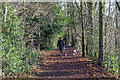 TQ2896 : Church Wood, Trent Park, Cockfosters, Hertfordshire by Christine Matthews
