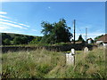 St Basil, Toller Fratrum: churchyard