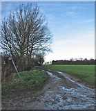 TL3043 : Paths near Down Hall Farm by John Sutton
