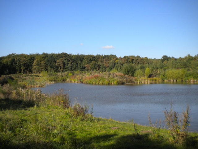 Pond near Sansom Wood