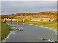 Old viaduct pillars, Wolfclyde