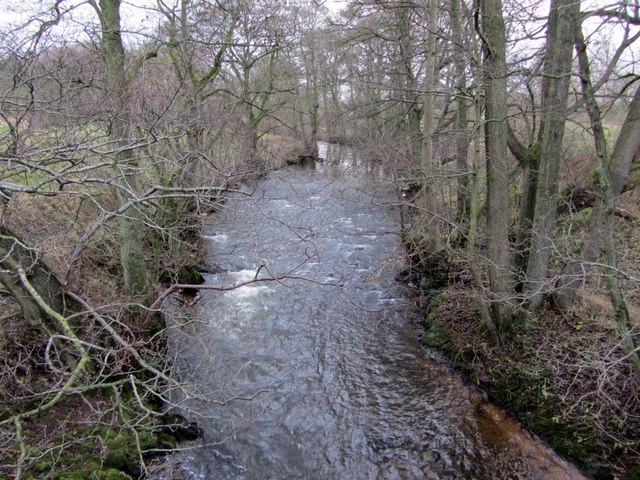 Crowdundle Beck