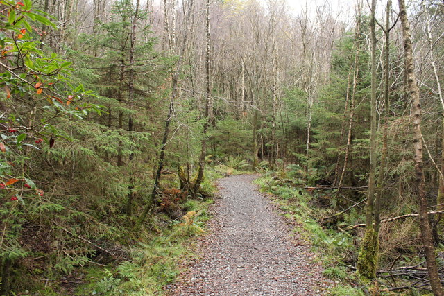 Kirroughtree Forest Trail