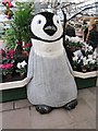 A Christmas Penguin in Bellis Brothers Farm Shop, Holt