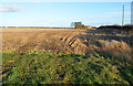 Fields towards Highfield Farm