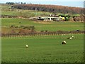 Burnside Farm from south-west