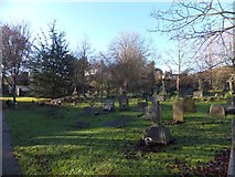 SX8767 : Churchyard of St Mary's church, Kingskerswell by David Smith