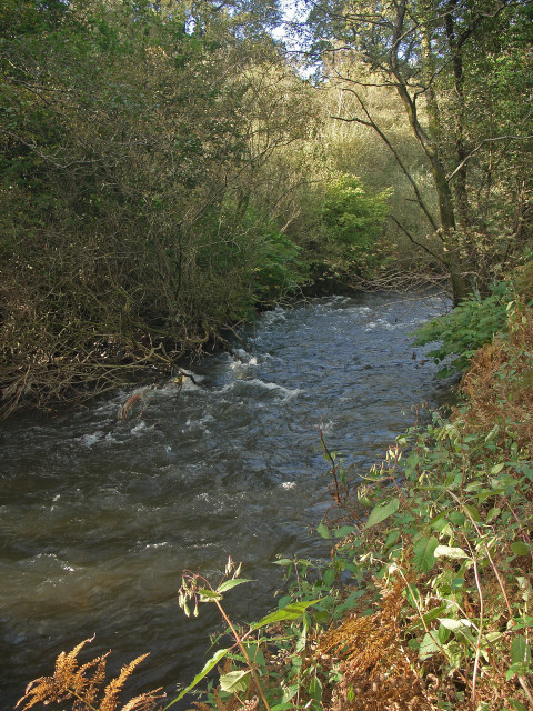 A glimpse of the River Ogmore near Pant-yr-awel