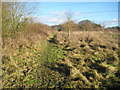 Gerrards Cross: Footpath to Hedgerley Green (1)