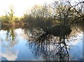 Gerrards Cross: Flooded pit near Bulstrode Park (1)