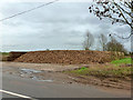 Heap of sugar beet