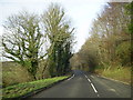 A484 heading for Llechryd