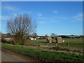 TF1907 : Moore's Farm on Decoy Road, Newborough by Richard Humphrey